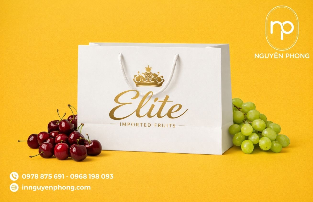 Mẫu túi giấy đựng hoa quả in ép kim logo